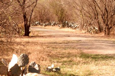 34county.trail.JPG