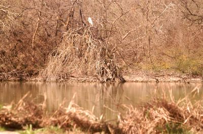 34county.lunkersegret.JPG