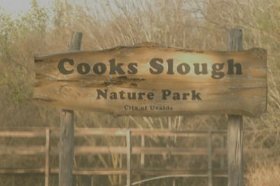 35countycook's.JPG