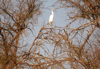 35countyggreategret.JPG