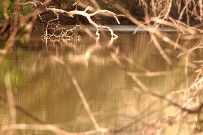 35countytheslough.JPG