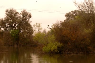 36county.flyway.JPG