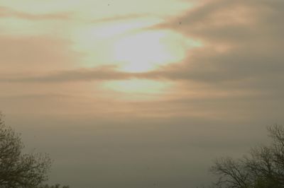 310county.sun.JPG
