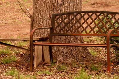 pecangrove310county..JPG