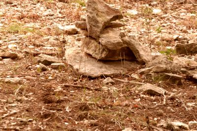 310county.markers.JPG