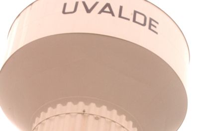 321countyuvaldeperegrineeeeeeeee.JPG