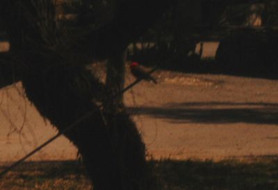 325Countyvermilion.JPG