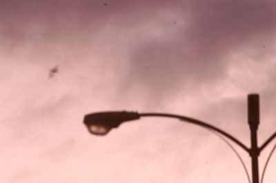 422county.bird.JPG