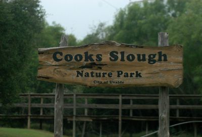 425county.ccook'sslouugh.JPG