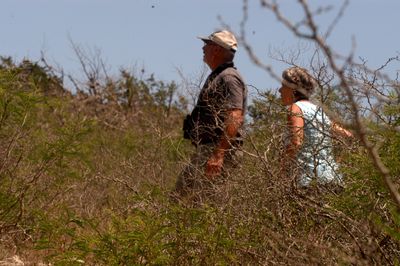 428county.nealsfloridacoupleblackcappedvireo.JPG