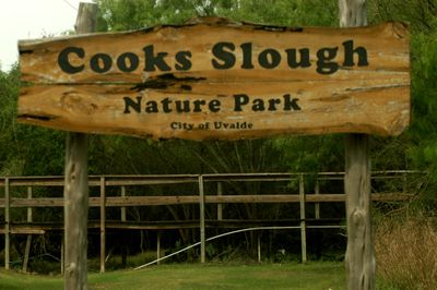 57county.cook'sslough.JPG