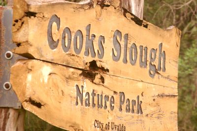 513county.cook'ssloughpark.JPG