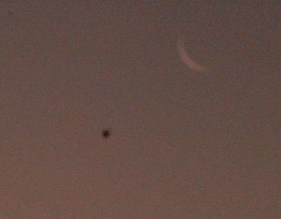 DSC_7983.JPG