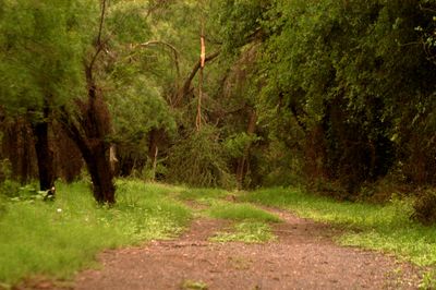 523 countytrailrepairaaaaaa.JPG