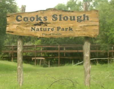 528countycook's333333.JPG