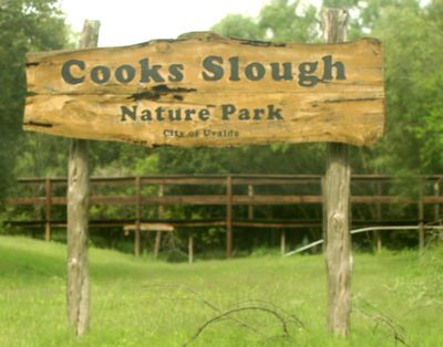 528countycook's333333.444444JPG