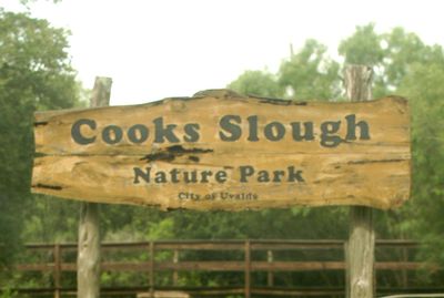 528countycook's slough.JPG