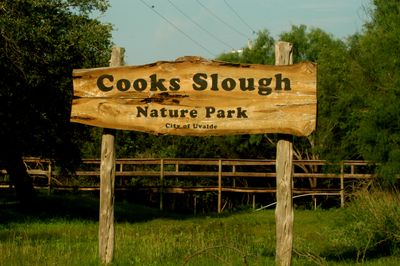 529cook's.slough.JPG