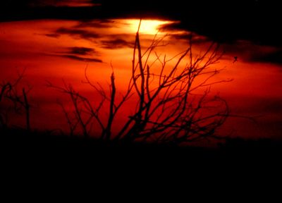 67county.sunrise2.JPG