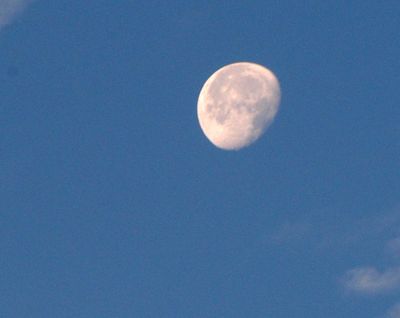 67county.luna.JPG