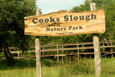 67county.cook's.JPG