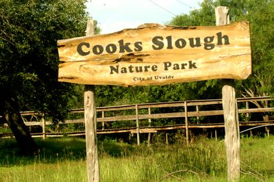 67county.cook's22222222.JPG
