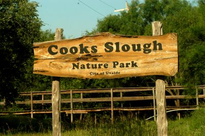 69County.cook'ssloughJPG