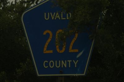 DSC_8678.JPG