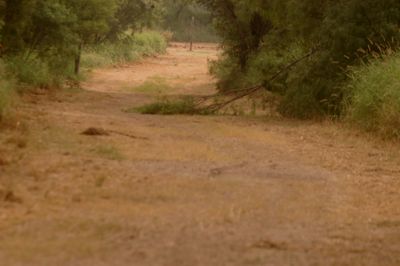616county.moretrail'.JPG