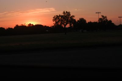 DSC_8810.JPG