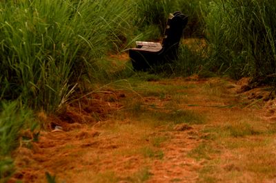 625county.trailpoind.JPG