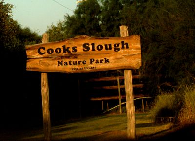 722county.cook'sslough222222222222.JPG