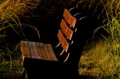 723countypondchair444444444444.JPG