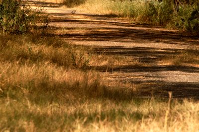 724countytrail.JPG