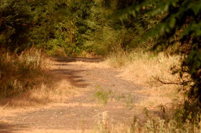 727county.trail.JPG