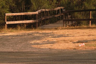 727county.cook'sslough.JPG