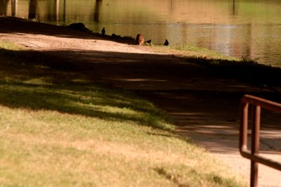 729countycitypark1.JPG