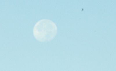 83countymoon.JPG