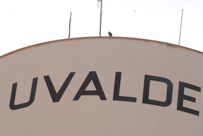 86county.uvaldeperegrinesummer.JPG