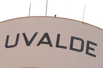 86county.uvaldeeeeeeeeeperegrine2.JPG
