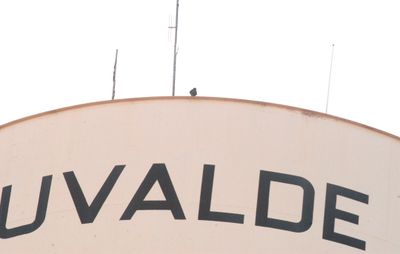 86county.uvaldeeeeeeeeeperegrine.JPG