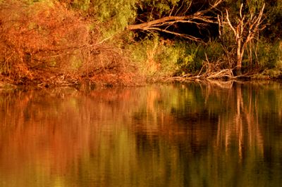 89countycookssloughpond.JPG