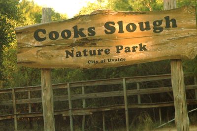 816county.cooksslough.JPG