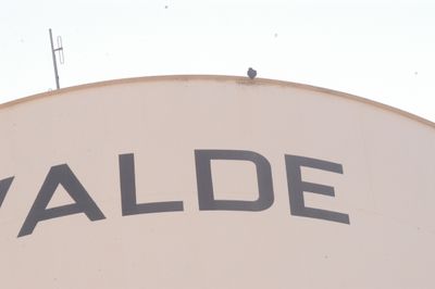 DSC_2655.JPG
