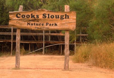 819countycook's2222222444445.JPG