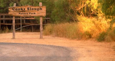 819countycook'ssloughhhhhhhhhhh.JPG