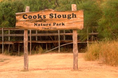 819countycook'ssloughaaaaaaaa.JPG