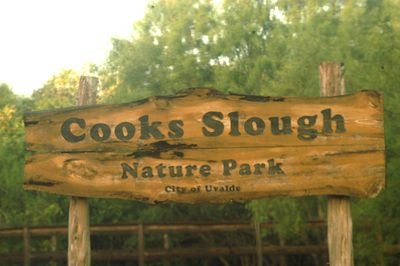 825Countycook'sslough.JPG