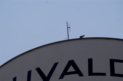116county.peregrine7777777777.JPG