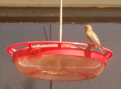 DSC_0120.JPG